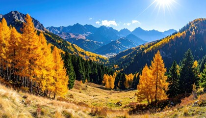 Scenic Golden Autumn Forest and Mountain Vista Under Blue Sky with Bright Sunlight