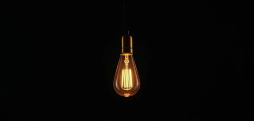 Modern minimalist hanging light bulb illuminates dark room,  Edison bulb,  clean