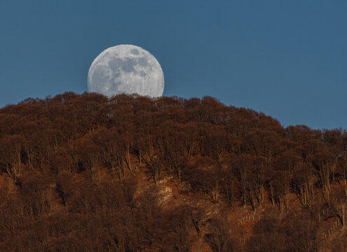 Aerial view of the moon rising over a hillside covered with trees, with the dark branches sharply contrasting against the bright lunar surface, Monte Bre, Lugano, Switzerland