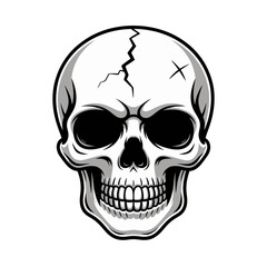 Human skull outline drawing, black ink style, minimal white background, anatomical head bones, vintage engraving vibe, vector illustration