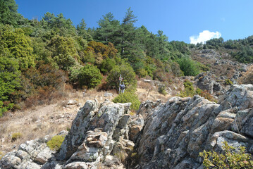 Paesaggi del Monte Limbara