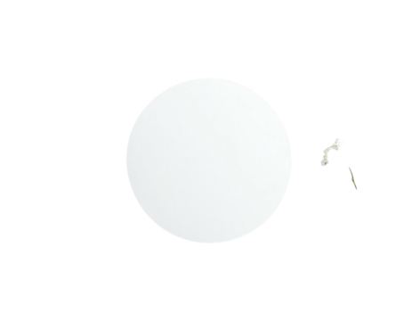 A large, white circle centered in darkness, with a small, organic detail near its edge