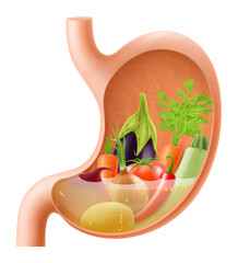 Stomach with various vegetables eggplant, zucchini, carrots, peppers, beets, onions, beets, potatoes. A stomach filled with healthy food. Realistic 3d Vector illustration. Food digestion process