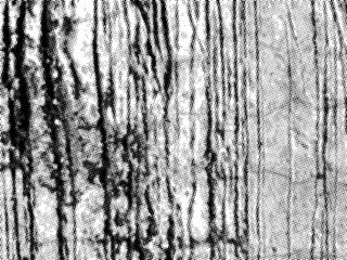 HALFTONE BACKGROUND_25