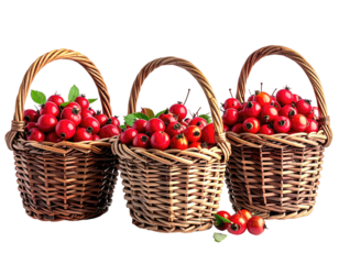 Three woven baskets overflow with vibrant red berries and green leaves