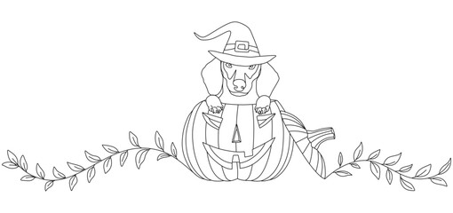 Line art illustration of a cute dog wearing a witch hat sitting inside a carved Halloween pumpkin. Decorative vines extend on both sides, giving a festive and playful touch