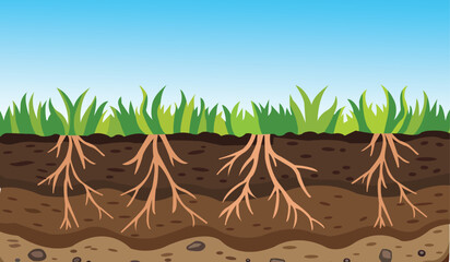 Soil layers with grass growing on top, roots visible underground, and stones at the bottom, representing a healthy ecosystem cartoon vector illustration