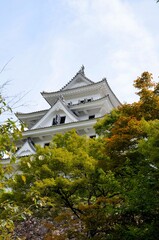 郡上八幡城 天守閣