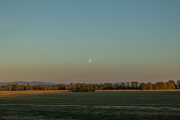 luna che sorge al tramonto da dietro le colline della Slovenia, vista da un ambiente naturale in pianura nelle campagne del Friuli Venezia Giulia, con cielo sereno, in autunno