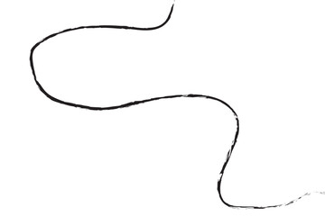 hand drawn vector illustration