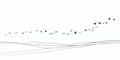 Fototapeta premium Silhouetted birds fly above the sketched horizon in black and white.