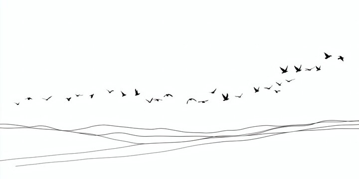 Silhouetted birds fly above the sketched horizon in black and white.