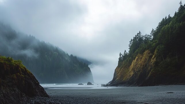 Misty beach cove, lush forest, dramatic clouds