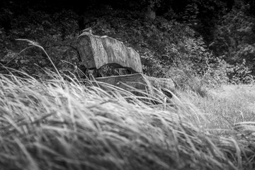 Einsame Massive Holzbank im Wald.