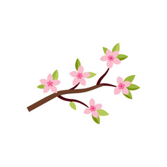 Obraz premium a vector art illustration of cherry blossom flower