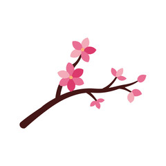 a vector art illustration of cherry blossom flower