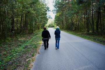 Fototapeta premium droga,spacer 