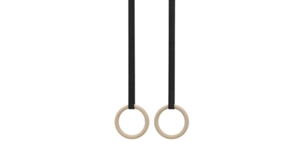Gymnastic rings hanging with black straps isolated PNG with Transparent Background