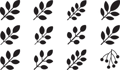 Botanical Plant Elements Vector Set of Leaf Branch Silhouettes Icons