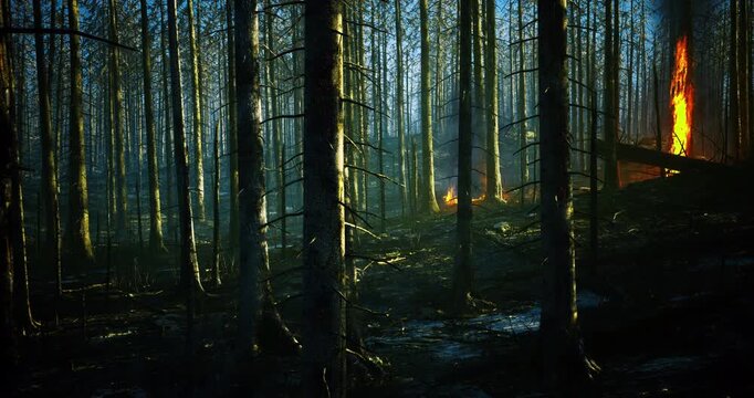 Flames devour trees in a forest, casting an eerie glow under the smoke filled sky.