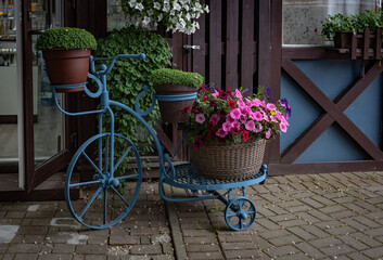 flower pot on bicycle in the city