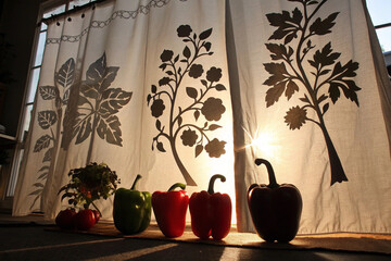 Fresh capsicum and floral Design Curtain 