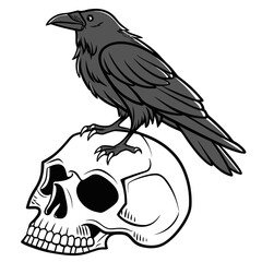 A black raven perched on a white skull crow bird