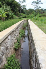 Traditional irrigation canals made of stone and cement, serve to drain water to the surrounding farmland or plantations. The canal is surrounded by green vegetation, including paddy or similar crops o
