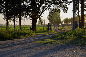 Entrada al campo