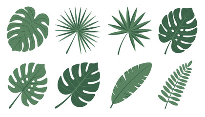 Collection of various green tropical palm leaves and monstera leaves