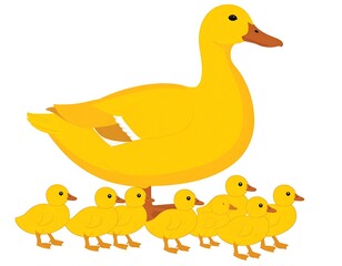 Mother duck with ducklings