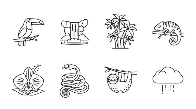 Tropical rainforest icons toucan waterfall bamboo chameleon orchid snake sloth cloud rain sketch vector