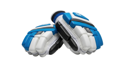 Blue and white cricket batting gloves isolated PNG with Transparent Background
