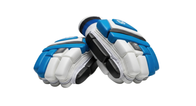 Blue and white cricket batting gloves isolated PNG with Transparent Background
