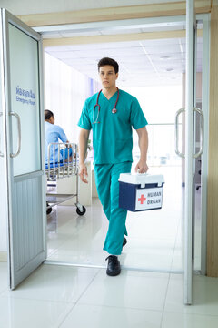 Hospital, healthcare, medical, doctor, nurse holds human organ transport box with serious expression, emphasizing emergency response and responsibility in critical transplant operation, surgeon room
