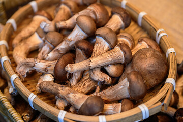 대나무 바구니에 담긴 여러개의 송이버섯 