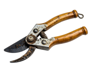 Rusty, well-used garden pruners with wooden handles and a metal spring