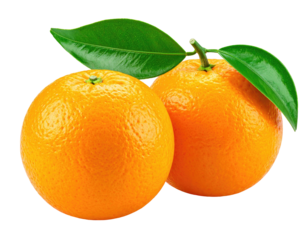 Two vibrant, ripe oranges with green leaves on a stem, isolated on a black background