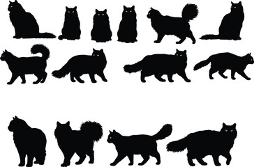 Cat silhouette vector set, black feline poses, walking, sitting, standing cats, pet animal clipart, isolated icons for design, illustration, decor