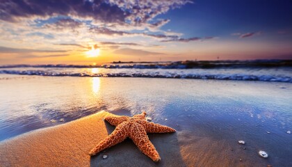 Starfish On Wet Sand At Seashore Coastal Environment Nature Photography Close Up Viewpoint