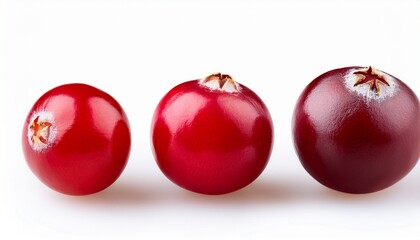 Three Different Cranberry Varieties Isolated On White
