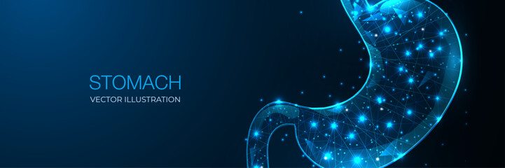 Human stomach organ in abstract 3D low poly design. Wireframe geometric style.  Concept gastric care, cancer, pain, science, and technology. Vector illustration.