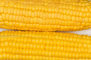 Peeled raw sweet corn ears, fragment top view close-up