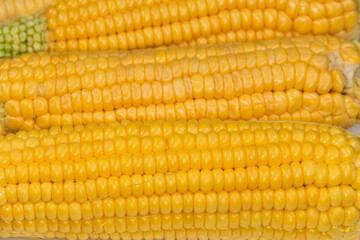 Peeled raw sweet corn ears, fragment top view close-up