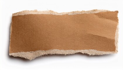 Torn Piece Of Brown Paper With Texture Isolated