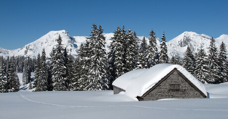 Winter landscape, snow covered trees and hut, Toggenburg Valley, Switzerland.