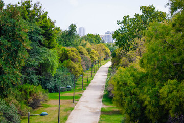 The main city park, Jardines del Turia, as seen from above, Valencia, Spain
