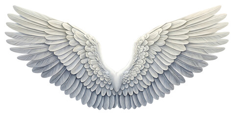 Obraz premium Elegant White Angel Wings Spreading Gracefully against Black Background for Fantasy and Spiritual Concepts