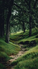 Obraz premium Winding Trail Through Lush Green Forest