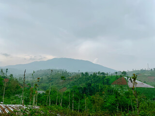 Panoramic mountain landscape under a cloudy sky with lush green hills, perfect for travel blogs and websites